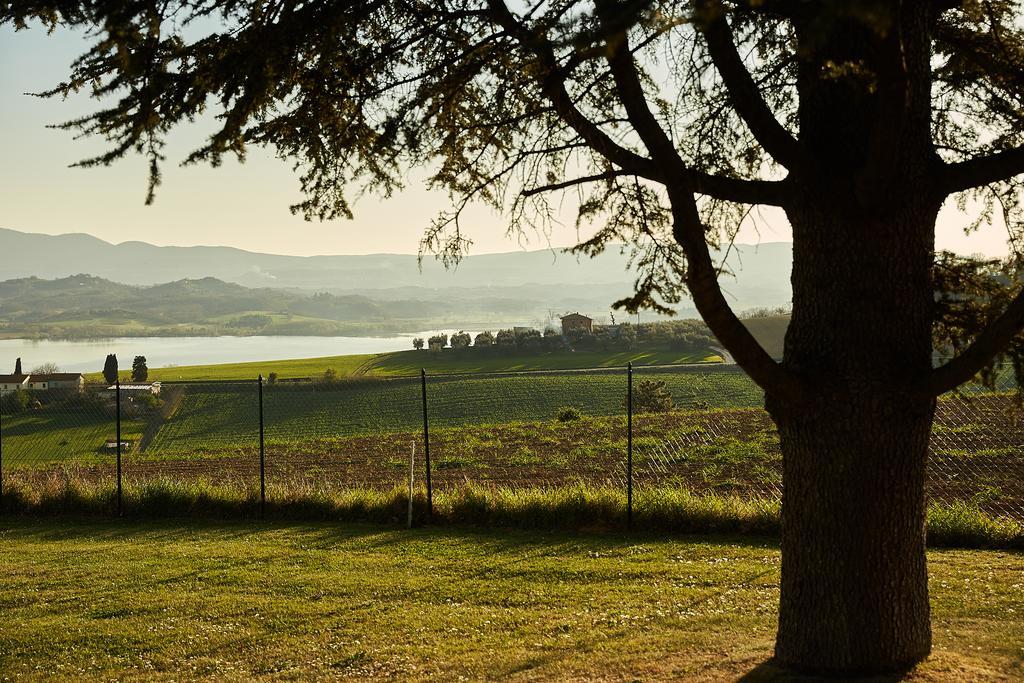 Podere Fontegallo Castiglione del Lago Exterior foto